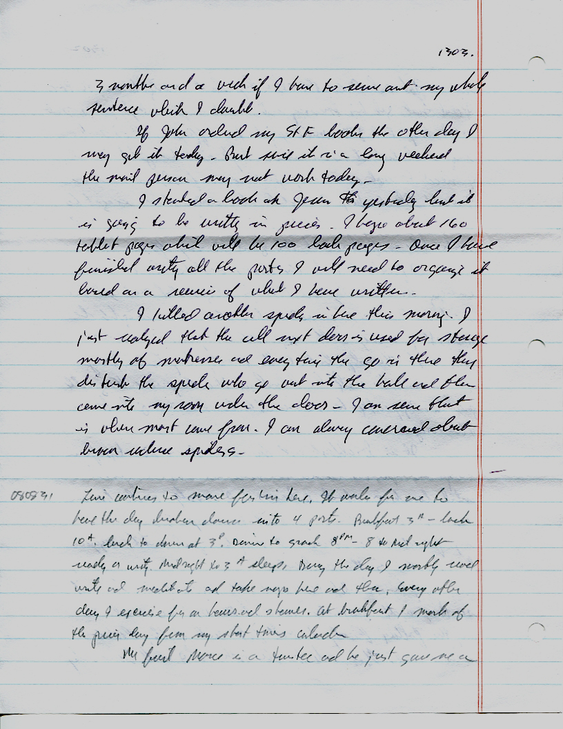 Dr John WorldPeace 2008 Prison Journal